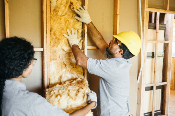 Best Reflective Insulation  in USA